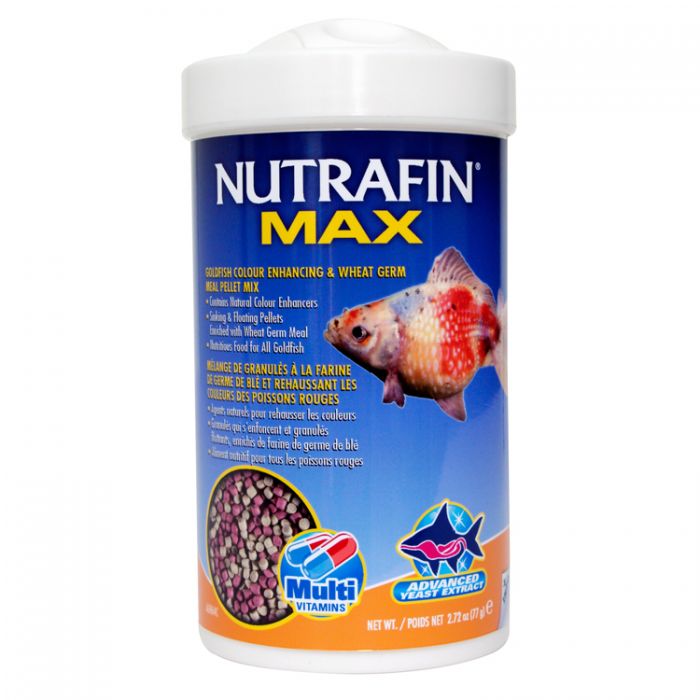 Tetra Tropical XL Color Granules 75g Colour Enhancing Fish Food - Aquarium  Central
