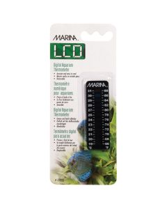 Marina LCD Thermometer Large (66-88F)