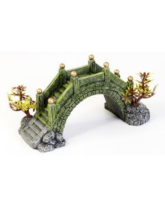 Aqua-Fit Charles Bridge
