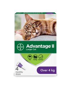 Advantage II Large Cat Flea Treatment [Over 4kg - 4 Pack]
