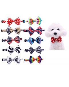 Cozymo Assorted Bowtie with Adjustable Collar Daily [50 Pack]