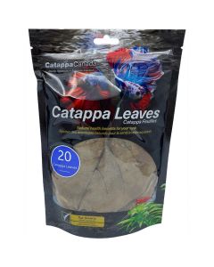 Catappa Canada Catappa Leaves [Medium - 20 Pack]