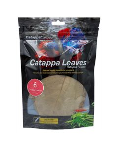 Catappa Canada Catappa Leaves [Medium - 6 Pack]