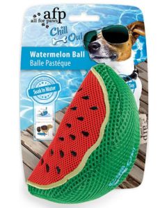 All For Paws Chill Out Watermelon Slice 