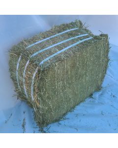 Fraser Valley Double Compressed Timothy Hay [1 Bale ~60lb]