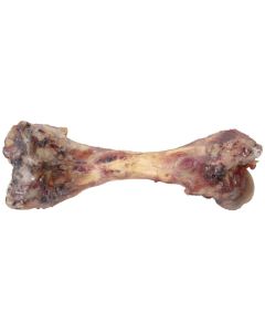 Hopcott Picnic Bone