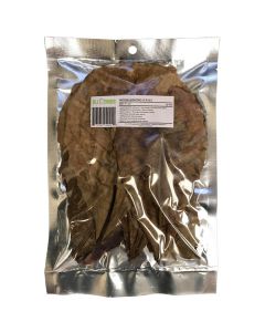 All Things Reptile Indian Almond Leaves [7-12" - 10 Pack]