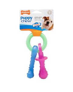 Nylabone Puppy Chew Teething Pacifier