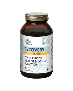 Purica Recovery SA Extra Strength (120 Tabs)
