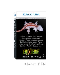 Exo Terra Calcium Supplement (40g)
