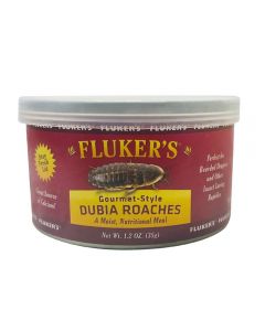 Fluker's Gourmet Style Dubia Roaches Canned 1.2oz