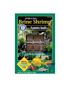 San Francisco Bay Spirulina Brine Shrimp (100g)*