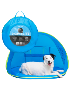 Canada Pooch Chill Seeker Cooling Station with Splash Pad Blue