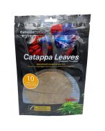 Catappa Canada Catappa Leaves, Small - 10 Pack