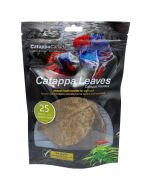 Catappa Canada Catappa Leaves, Small - 25 Pack