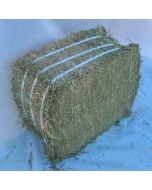 Fraser Valley Double Compressed Timothy Hay, 1 Bale ~60lb