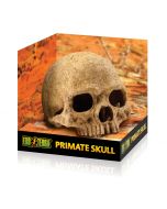 Exo Terra Primate Skull