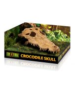 Exo Terra Crocodile Skull