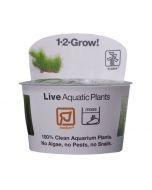 Tropica 1-2 Grow! (Assorted Plants)