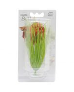 Marina Betta Kit Plant Hairgrass Green