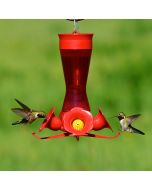 Perky-Pet 4 Flower Glass Hummingbird Feeder