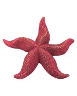 Aqua-Fit Starfish