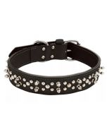 Circle T Oak Tanned Leather Spiked Collar 1.5"x22", Black