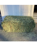 Fraser Valley Double Compressed 2 String Timothy Hay [1 Bale ~65lb]