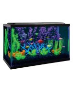 GloFish Aquarium Kit [10 Gallon]
