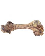 Hopcott Dino Bone