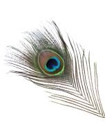 Vee's Natural Peacock Feather