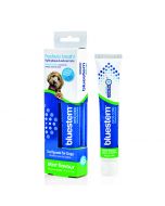 bluestem Toothbrush & Toothpaste for Dogs Vanilla Mint Flavour [70g]