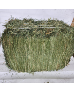 Fraser Valley Double Compressed Local Hay [1 Bale ~65lb]