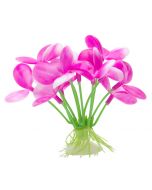 Marina Betta Pink Orchid