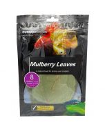 Catappa Canada Mulberry Leaves [8 Pack]