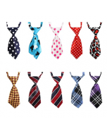 Cozymo Small Neck Tie Daily [25 Pack]
