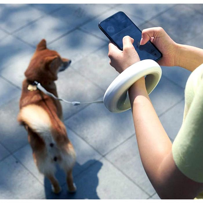 Smart dog leash cheap