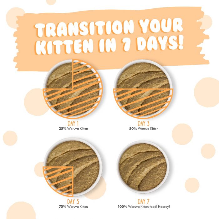 Weruva Kitten Tuna Salmon in a Hydrating Puree 85g