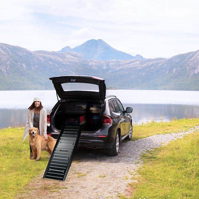 All For Paws Travel Dog Car Ramp 4 Fold