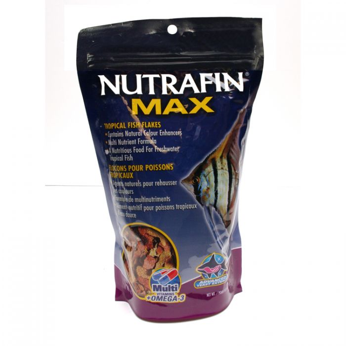 Nutrafin max tropical fish flakes clearance