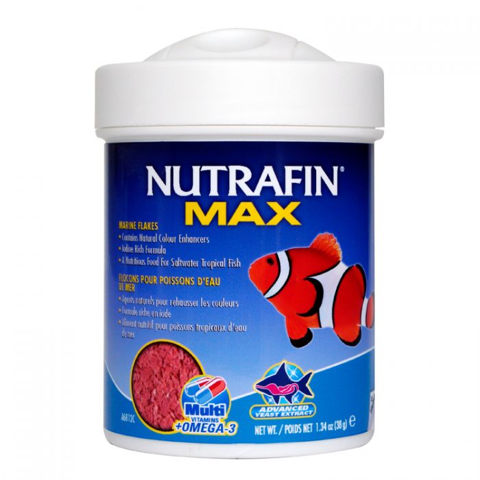 Nutrafin max tropical fish flakes hot sale