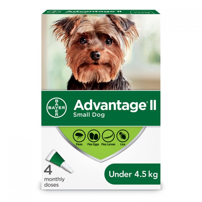Advantage II Small Dog Flea Treatment Under 4kg 4 Pack