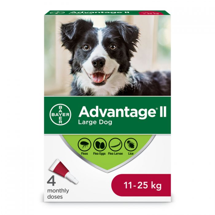 Large dog flea medicine online