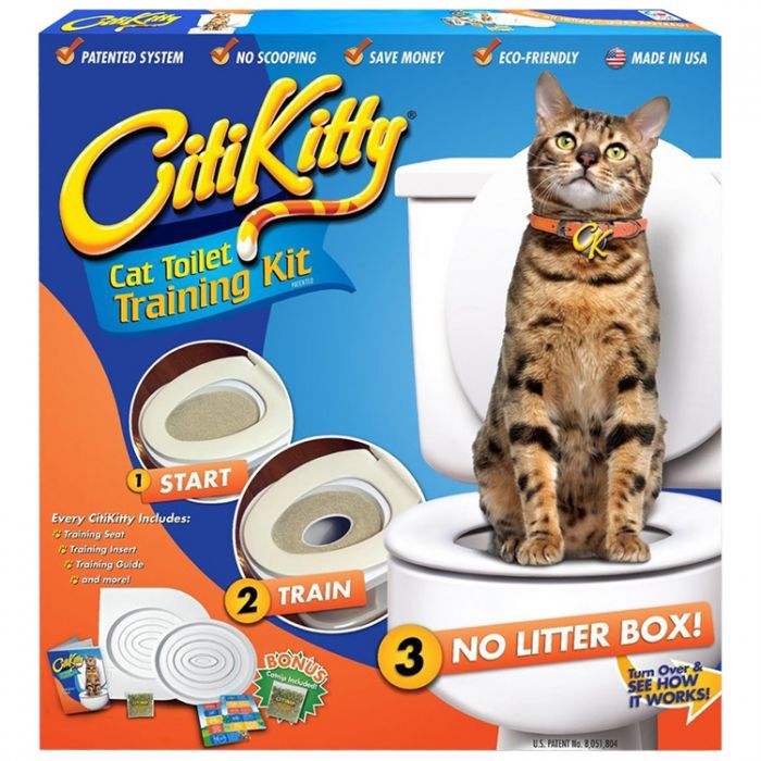 Is it easy to train a cat to use the toilet sale