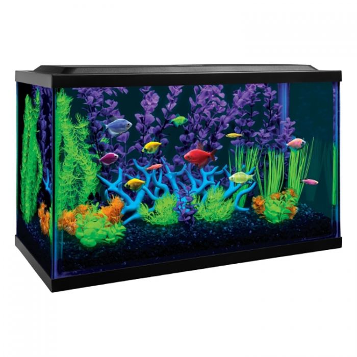 Glofish 10 gallon aquarium kit cheap