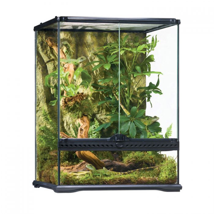 Exo Terra Small Tall Terrarium 18x18x24