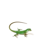 Green Anole